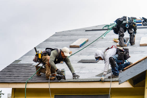 Professional Gutter Installation technician working in New London, MN